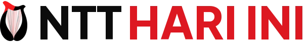 NTT Hari Ini