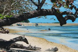 Ilustrasi: Pemandangan pantai berpasir dengan dahan pohon di latar depan serta perahu dan orang berenang di kejauhan.