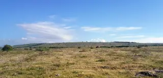 Foto arsip: Padang sabana saat musim kemarau terlihat cokelat di Waingapu, NTT.