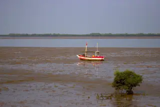 Ilustrasi: Sebuah perahu kecil terapung di perairan dangkal berlumpur dekat tanaman bakau.