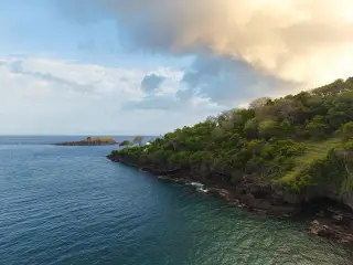 Ilustrasi: Tebing pesisir berbatu dengan pepohonan hijau berbatasan langsung dengan perairan laut yang tenang.