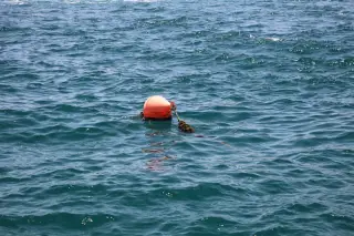 Ilustrasi: Sebuah pelampung jingga terapung di atas permukaan air laut yang bergelombang tenang.