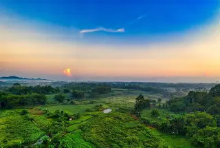 Ilustrasi: Pemandangan lanskap persawahan dan perbukitan hijau yang luas di bawah langit pagi.