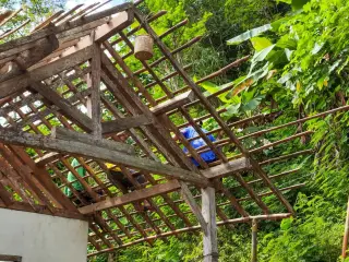 Guru dan Orang Tua Bangun Kelas Darurat di Pulau Palue