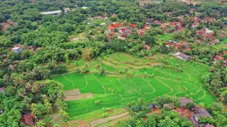 Putusan Banding Tiga Warga Adat Nangahale Dijadwalkan 24 September