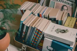 Ilustrasi: Deretan buku tertata rapi di dalam koper terbuka di dekat tanaman hias pot.