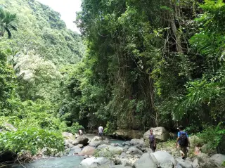 Foto arsip: Hutan dan Pusat Mata Air Wair Terang Area Hutan dan Pusat Mata Air yang dilindungi.