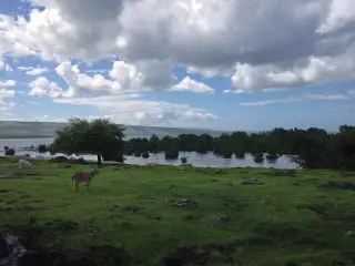 Foto arsip: Taken at Padadita Beach, Waingapu, East Sumba, East Nusa Tenggara.
