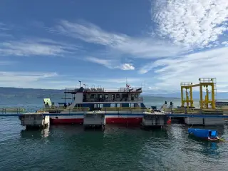 KM Bukit Siguntang Singgah di Maumere dan Lewoleba 26 September 2026