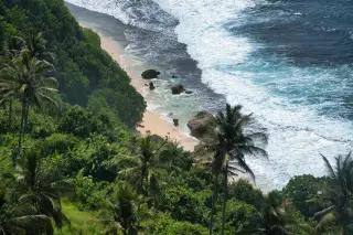 Ilustrasi: Pemandangan dari atas tebing memperlihatkan pantai berpasir dengan ombak laut dan pepohonan hijau.