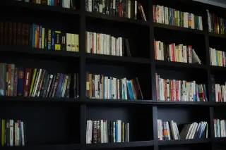 Ilustrasi: Deretan buku tertata rapi di rak perpustakaan berwarna hitam.
