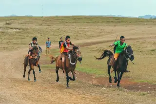 Foto arsip: Kuda merupakan bagian kehidupan bagi masyarakat sumba.