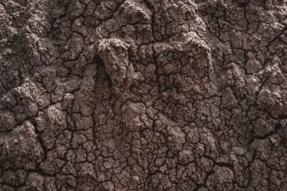 Ilustrasi: Tekstur permukaan tanah cokelat yang kering dan retak-retak dari jarak dekat.