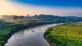 Ilustrasi: Pemandangan udara aliran sungai luas yang dikelilingi hamparan vegetasi hijau dan pepohonan.