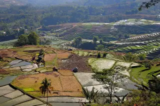 BNPB Perbarui Progres Huntara Penyintas Gempa di Flores