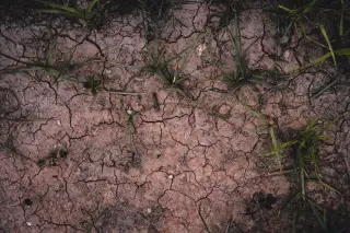 Undana Kirim Tim Kelima untuk Tangani Dampak Gempa Flores