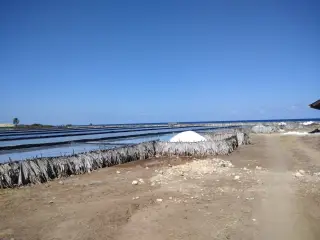 Foto arsip: Salt evaporation pond in Sabu Island, Sabu Raijua Regency.