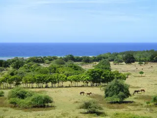 Foto arsip: Pantai di Sumba, Nusa Tenggara Timur.