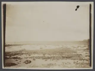 Foto arsip: Academische Collecties: 1899-1900, Siboga-expeditie naar Nederlands Oost-Indië, onder leiding van Max Wilhelm Ca.
