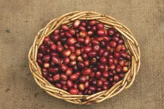 Ilustrasi: Biji kopi merah dalam keranjang anyaman di atas permukaan kain goni dilihat dari atas.