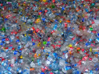 Ilustrasi: Tumpukan padat botol-botol plastik bekas pakai dengan berbagai label.