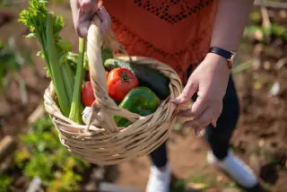 NuFRN Buka Pasar Pertanian bagi Petani Rote Ndao