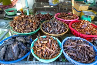 Ilustrasi: Berbagai jenis ikan asin kering tertata di dalam keranjang plastik di pasar tradisional.