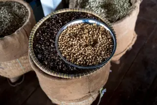 Ilustrasi: Biji kopi di piring logam dan tampah bambu di atas karung goni.