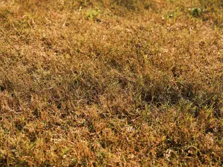 BMKG Ingatkan Risiko Kebakaran Lahan Saat Kemarau NTT