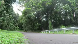 Foto arsip: 20160403110250 - Riding down a curve west of Larantuka.
