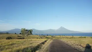 Foto arsip: KATEGORI PEMANDANGAN ALAM, HEWAN DAN TUMBUHAN.