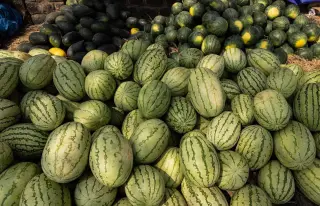 Ilustrasi: Tumpukan buah semangka segar yang melimpah di pasar.