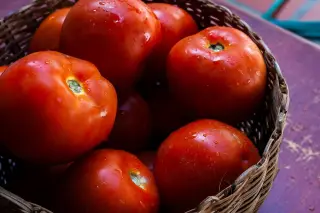 Ilustrasi: Tumpukan buah tomat merah segar dengan bulir air di dalam keranjang anyaman.