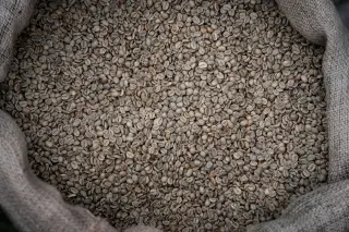 Ilustrasi: Biji kopi mentah memenuhi karung goni dari sudut pandang atas.