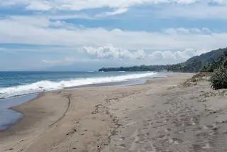 Gempa Flores 15 Agustus 2026: Penyebab, Tsunami, dan Gempa Susulan