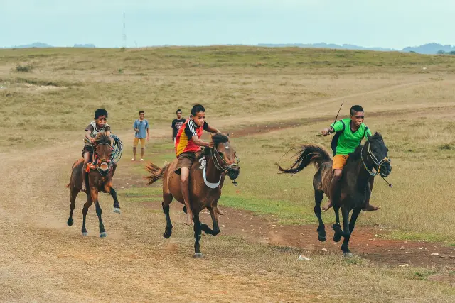 Bank NTT Dukung Waikabubak Night Run Promosikan Sumba Barat