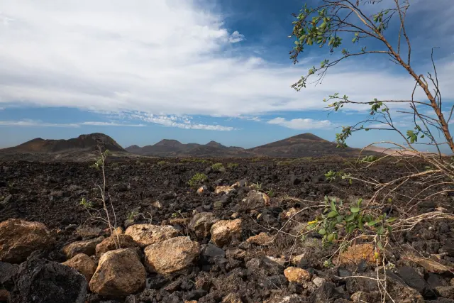 Gunung Ili Lewotolok Erupsi, 215 Gempa Letusan Tercatat