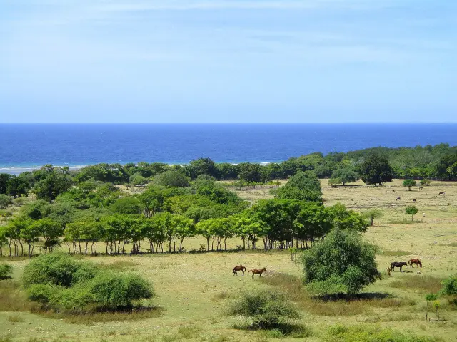 Sumba Indonesia: letak, ciri alam, penduduk, dan alasan pulau ini dikenal