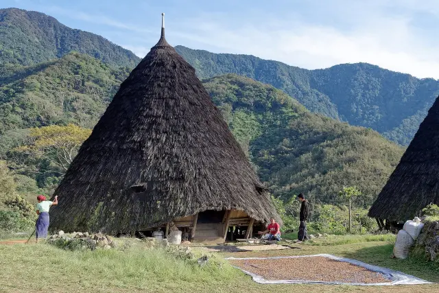 Rumah Adat Flores: Mengenal Mbaru Niang di Wae Rebo